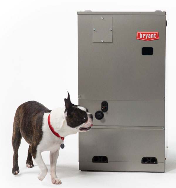 Federal Elite Heating & Cooling, Inc. - Bryant Heating & Cooling Systems